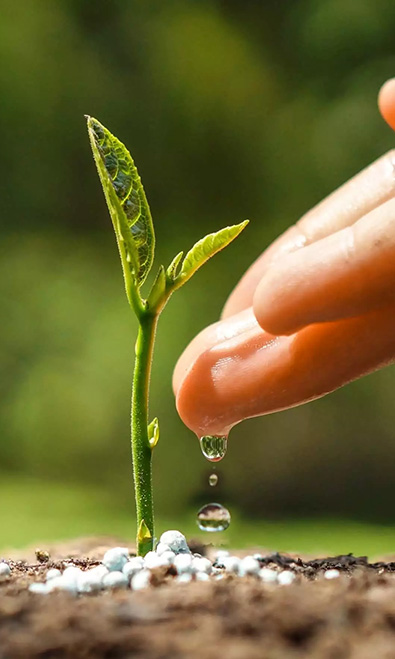 Shangrao Bisource Technology Co., Ltd.