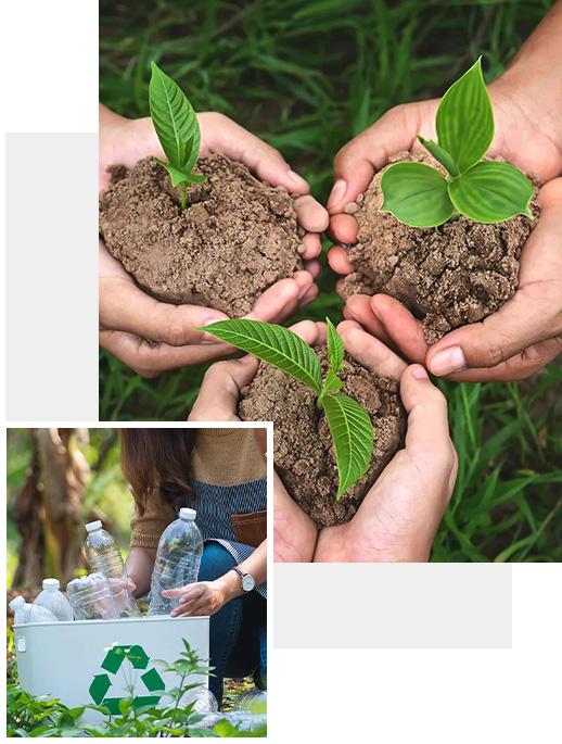 Shangrao Bisource Technology Co., Ltd.